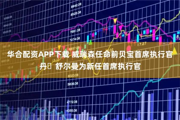 华合配资APP下载 威瑞森任命前贝宝首席执行官丹・舒尔曼为新任首席执行官